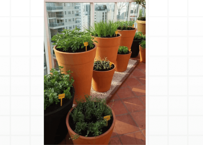 Horta em Apartamento: Como Cultivar Temperos na Cozinha Usando Espaços Pequenos