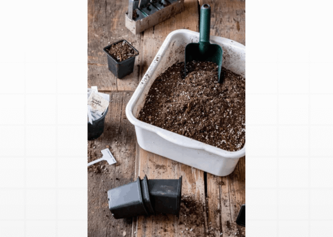 Substrato para Plantas: Como Preparar a Terra Perfeita e Bem Drenada para Vasos