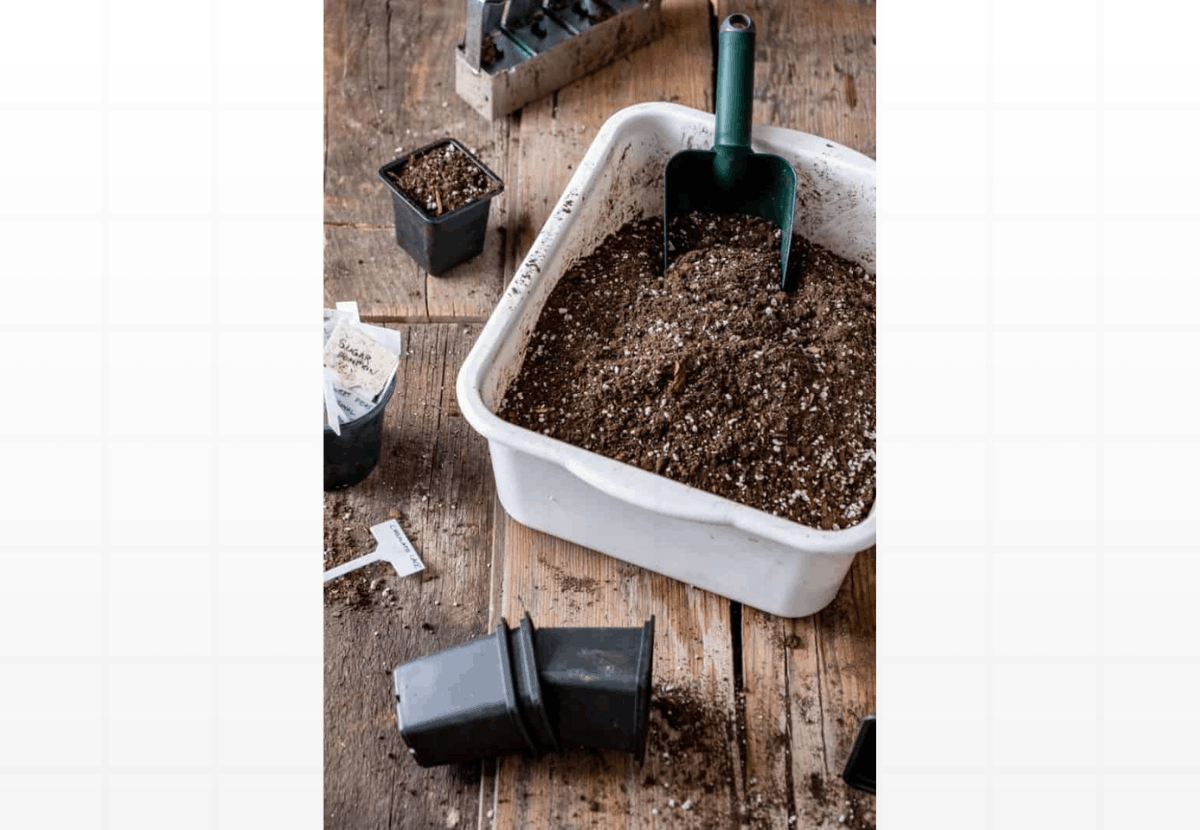 Substrato para Plantas: Como Preparar a Terra Perfeita e Bem Drenada para Vasos