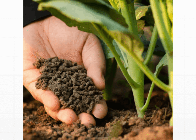 Como Usar Adubo NPK: O Guia Definitivo para Nutrição e Floração Rápida das Suas Plantas