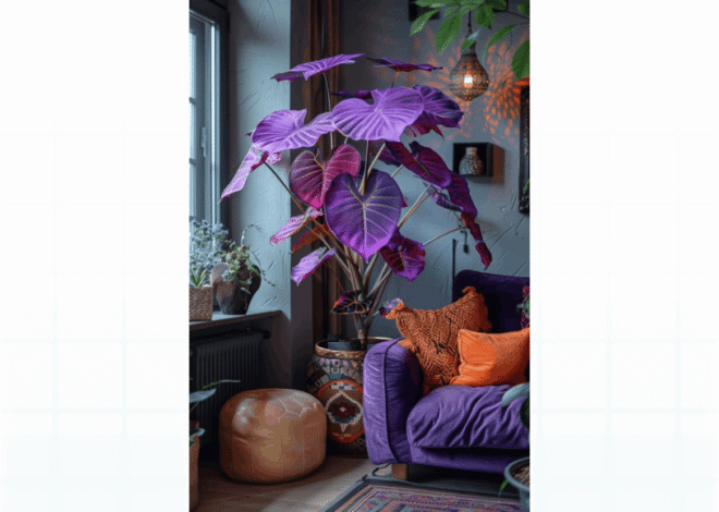 Plantas Raras e Exóticas: Como Iniciar uma Coleção Botânica Exclusiva no Seu Apartamento